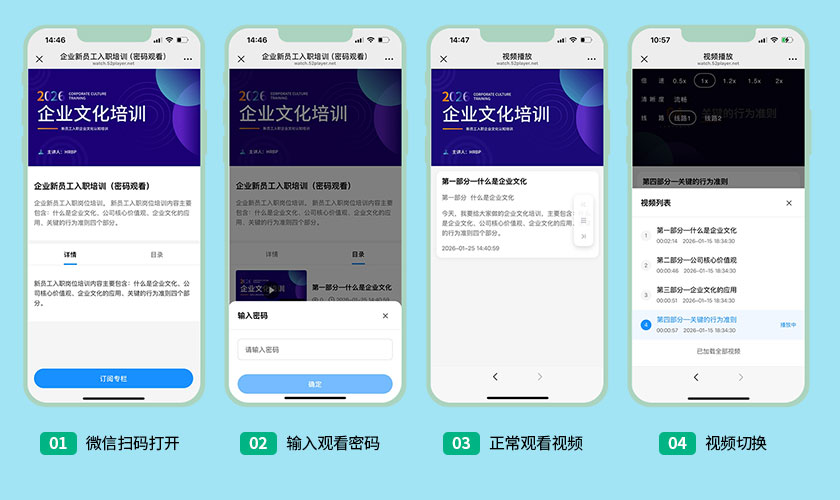 信息系统安全视频授权 - 密码观看